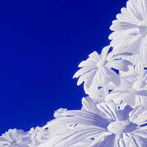 日本操屄视频免费电影观看
